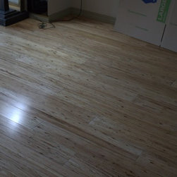 Petrified Strand Eucalyptus - Products