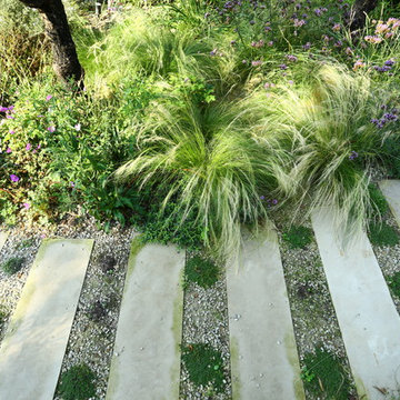 Mediterranean Garden landscaping in Chiswick