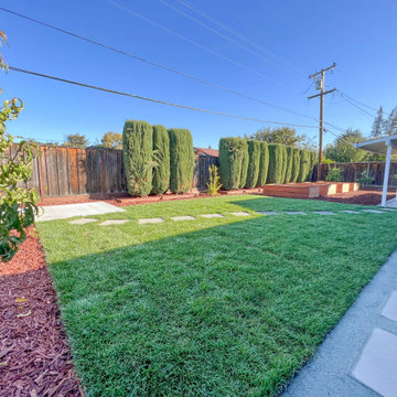 Backyard Remodel (Planter Boxes, Walkways, Pavers, Grass, & Tree Install)