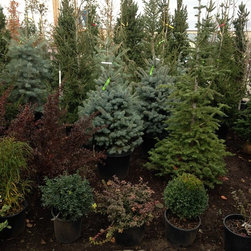 Gardening & Landscaping - Products