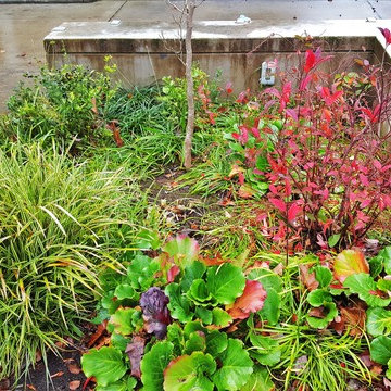 Salmon Creek Estate Design Build Landscape BEFORE PHOTOS