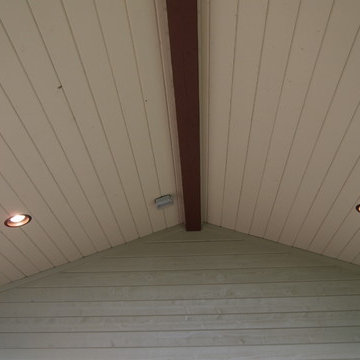 Wild Plum Deck & Cover
