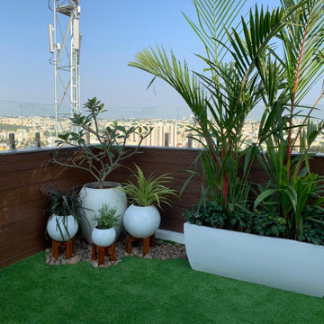 Terrace view Balcony Garden