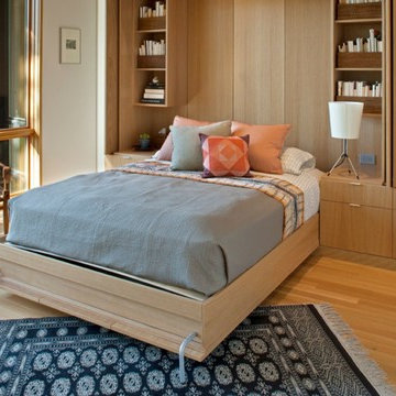 Custom Murphy Bed