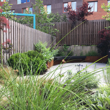 Modern Garden with Curved Corten Border