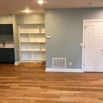 15th St. Contemporary Basement Remodel
