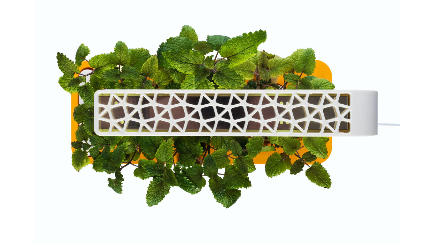 Smart Herb Garden Starter Kit, Orange