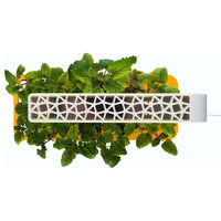 Smart Herb Garden Starter Kit, Orange