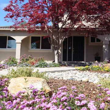 DESIGN TO COMPLIMENT MAPLE TREES