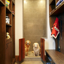 pet stuff