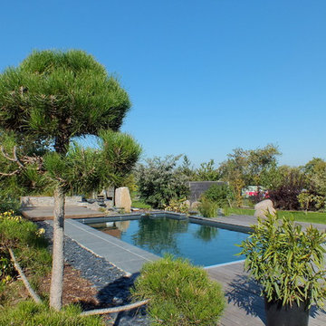 Piscine biologique avec volet et chauffage