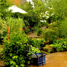 collingwood backyard
