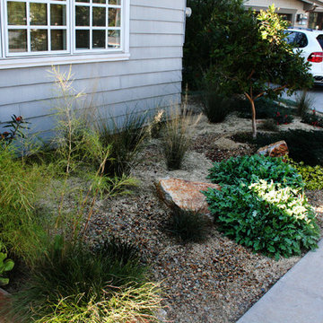 Coronado Lawn Replacement