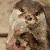 Julie Mims's photo