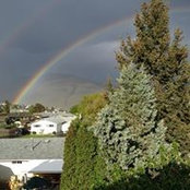 Willy Blackmore's photo