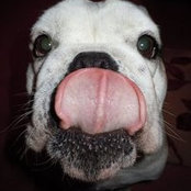 Stephanie Vallango's photo