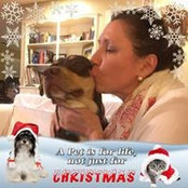 Crystal Wilson's photo