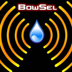 BowSel, LLC