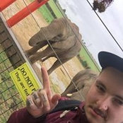 Lewys Farnham's photo