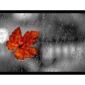 Fran Shinn's photo