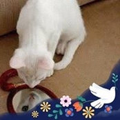 Marlene Sayre's photo