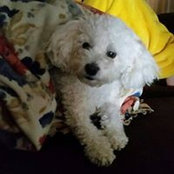 Tracy Heyman's photo