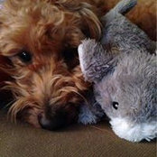Debbie Tomimatsu's photo