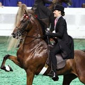 Ashley Alden's photo