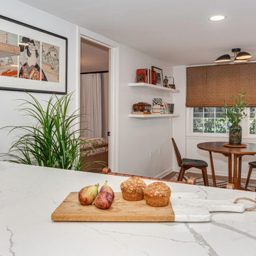 Cloister Basement Renovation