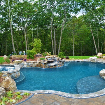 Freeform Pool with Spa Combo 2017