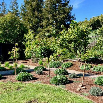 Fremont Landscape Transformation