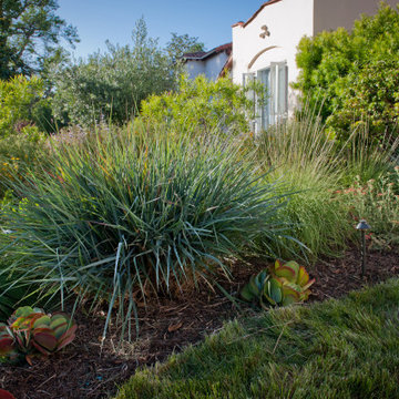 Lush and Leafy Lawn Border