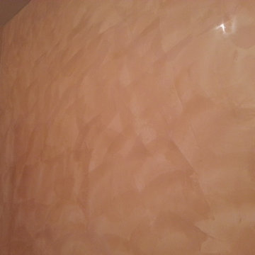 VENETIAN PLASTER