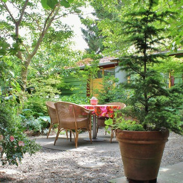 Seattle Organic Garden