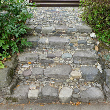 Petit Steps