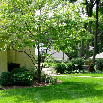 In-town Renovation