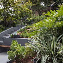 outdoor backyard space at Ivy
