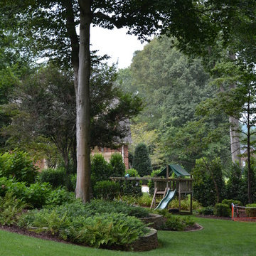 Lush Woodland Plantings