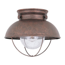 Barbara's ideas