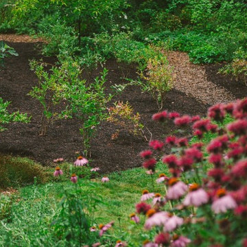 Audubon Certified Backyard Habitat