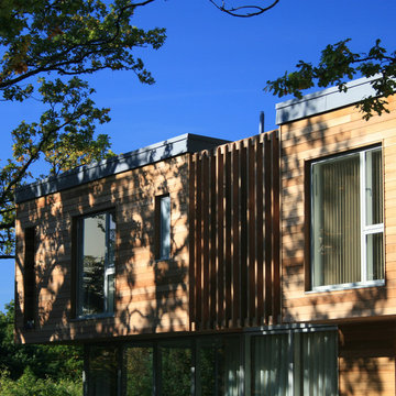 The Tree House