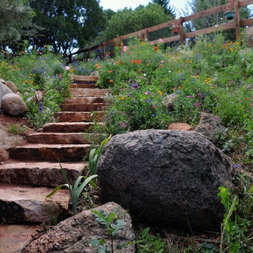 Steps