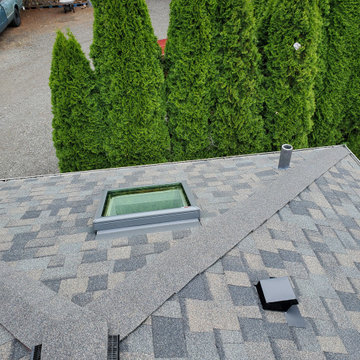 Owens Corning - Asphalt Shingle - Peppercorn