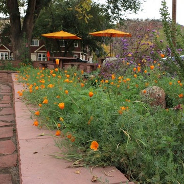 Town of Lyons Plaza Garden...