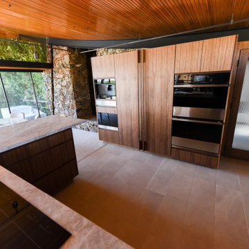 Dr. Alexander Residence in Palm Springs
