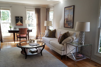 Living room - transitional living room idea in Chicago