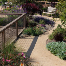 Path / Sidewalk