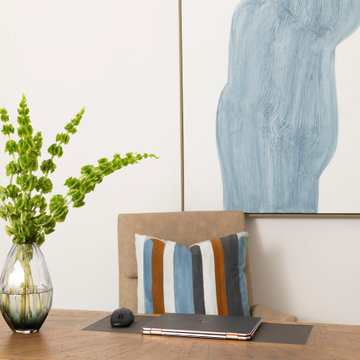 Preston Hollow Modern Minimalist Furnishing