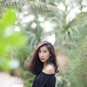 Dinh Lams foto