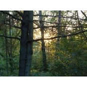 Nancy Orlowski's photo